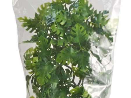 Zoo Med Natural Bush Amazonian Phyllo Plants Green 1ea 18 in, MD on Sale