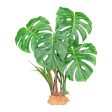 Komodo Standing Plant Monstera Leaf, 1ea 18 in on Sale