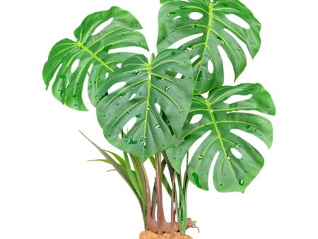 Komodo Standing Plant Monstera Leaf, 1ea 18 in on Sale