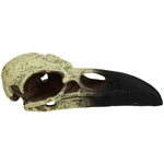 Komodo Raven Skull Hideout 1ea LG, 18 in Online now