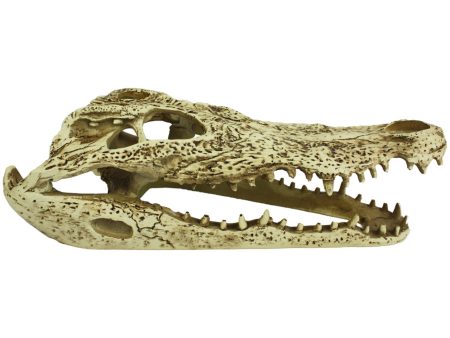 Komodo Alligator Skull Hideout 1ea 9 in Discount