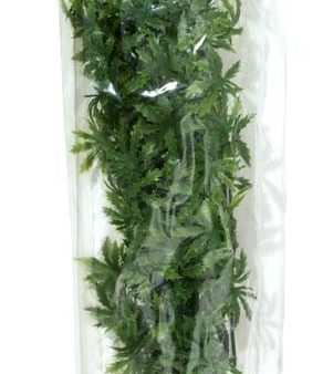 Zoo Med Natural Bush Cannabis Plants Green 1ea 22 in, LG Sale