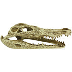 Komodo Alligator Skull Hideout 1ea 9 in Discount