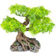 Komodo Bonsai Tree 1ea 17 in Online