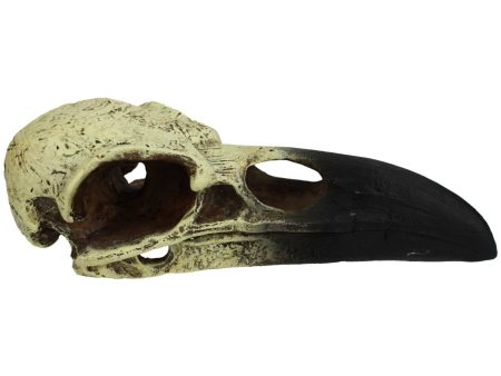 Komodo Raven Skull Hideout 1ea LG, 18 in Online now