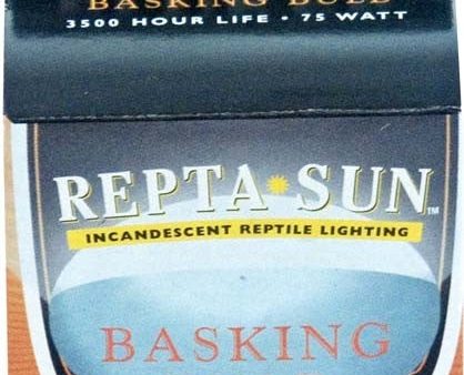 Fluker s Repta-Sun Incandescent Reptile Basking Bulb 1ea 40 W Online Hot Sale