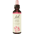 Bach Original Flower Remedies Essence - Aspen Liquid Drops Online Hot Sale